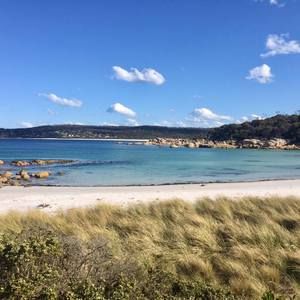 Meet your Posher, Sophie